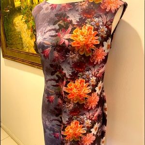 RM LL Floral Fitted Sheath Dress Sleeveless Sz 6